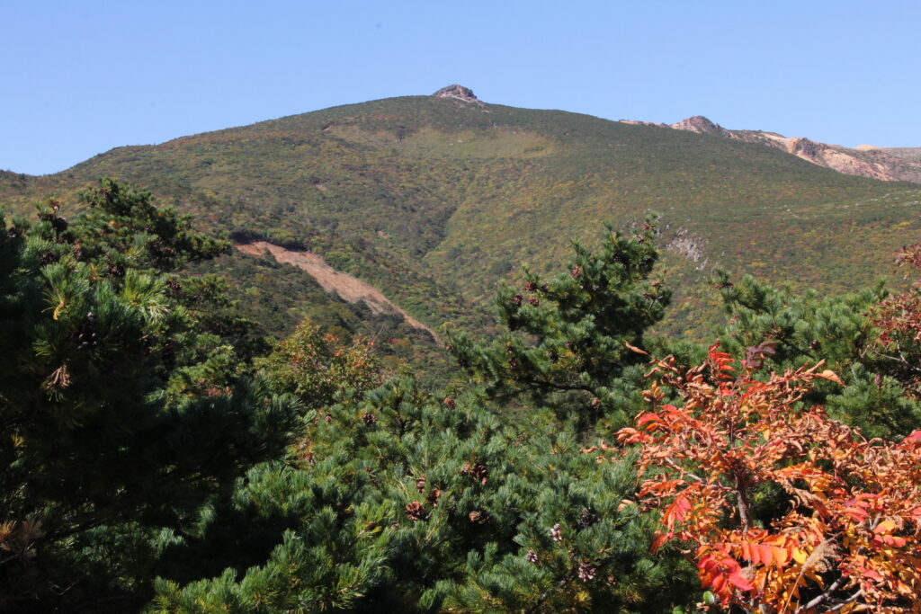 安達太良山  いよいよ紅葉シーズンへ