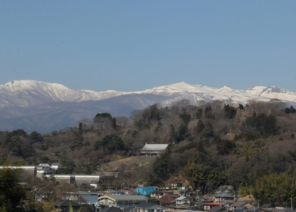 霞ヶ城公園桜まつり４月６日スタート