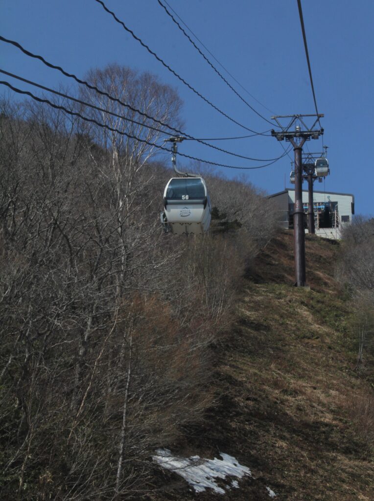 安達太良山にも〝春の足音〟新緑シーズン