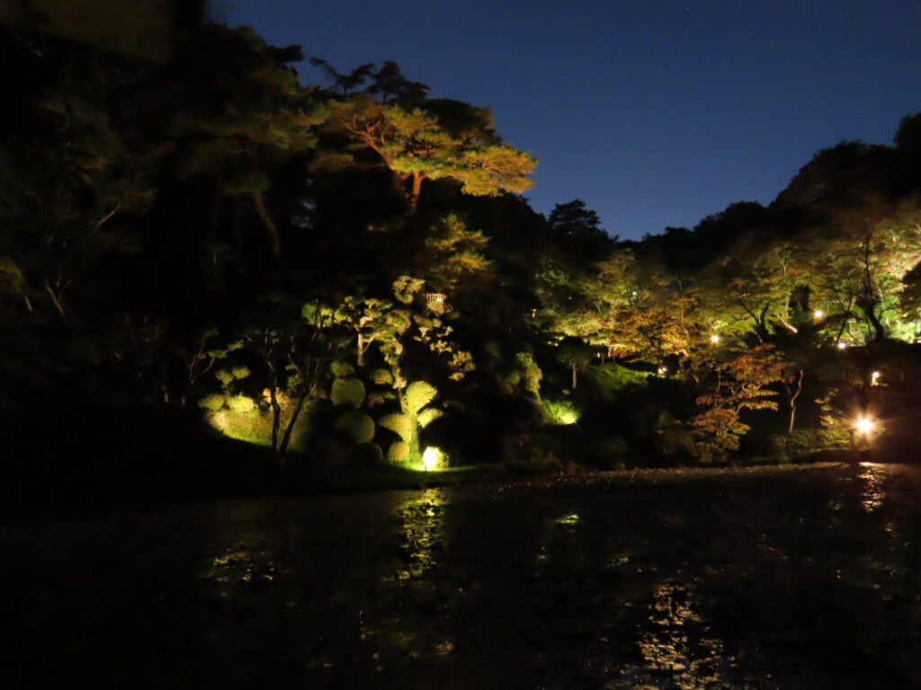 霞ヶ城公園でライトアップ、幻想的な秋景色