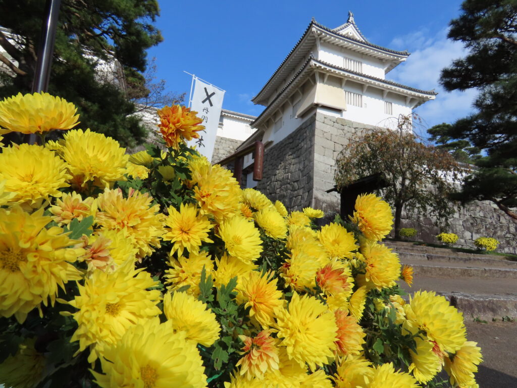 二本松の菊人形、今年は10月10日～11月20日開催